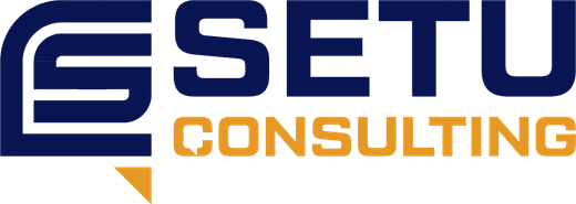 Setu Consulting logo